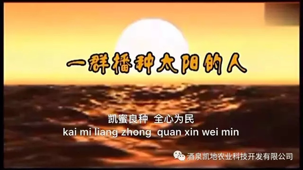 ȫʡrI(y)F(xin)FC݅^(q)^ĦW